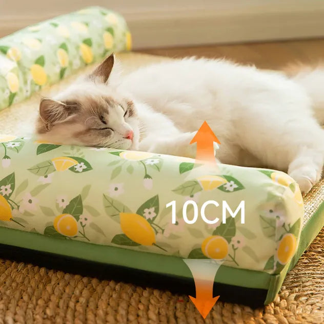 Keep your cat or small dog cool and comfortable with this summer pet cooling mat & supportive bed.