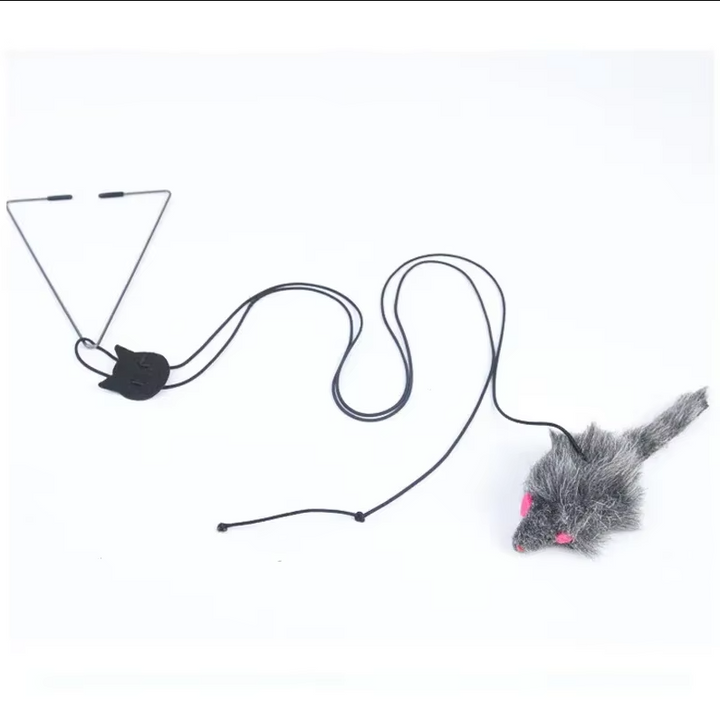 Cat door toy with jumping mouse for active feline play & exercise. Promotes solo pet enrichment.