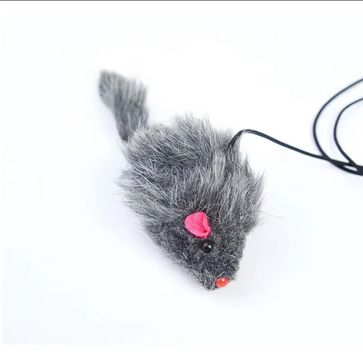 Keep your cat active with this door toy featuring a jumping mouse; great for solo pet exercise.