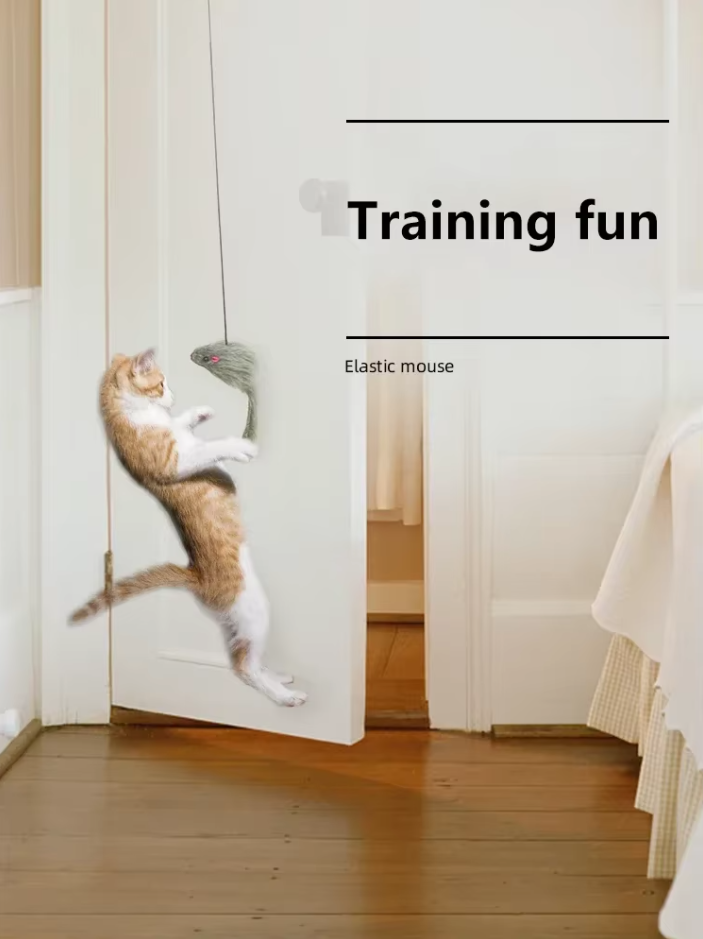 Feline enrichment door toy with an exciting jumping mouse for stimulating hunting instincts & activity.