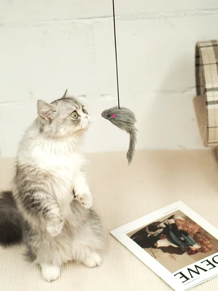 Kitty accessory: Door-hanging cat toy with an erratic jumping mouse for engaging pet exercise.