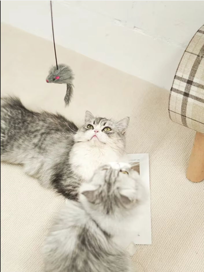 Cat exercise door toy with a playful jumping mouse, designed for solo feline entertainment.