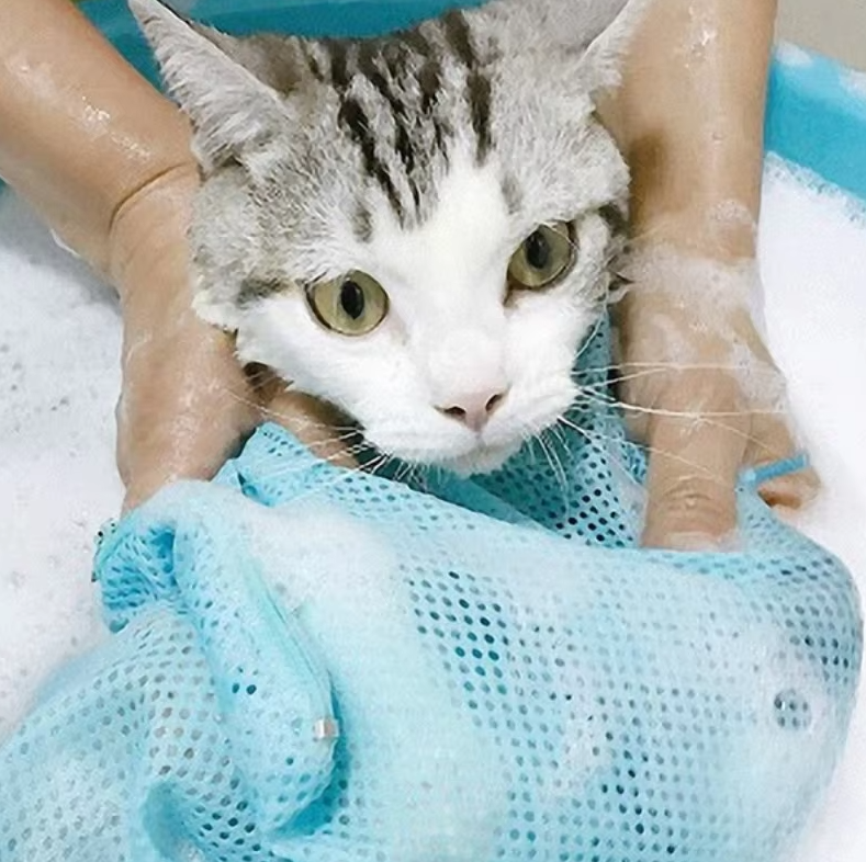 Multi-purpose cat care bag for grooming, bathing, nail clipping & vet visits. Durable mesh & secure zippers.