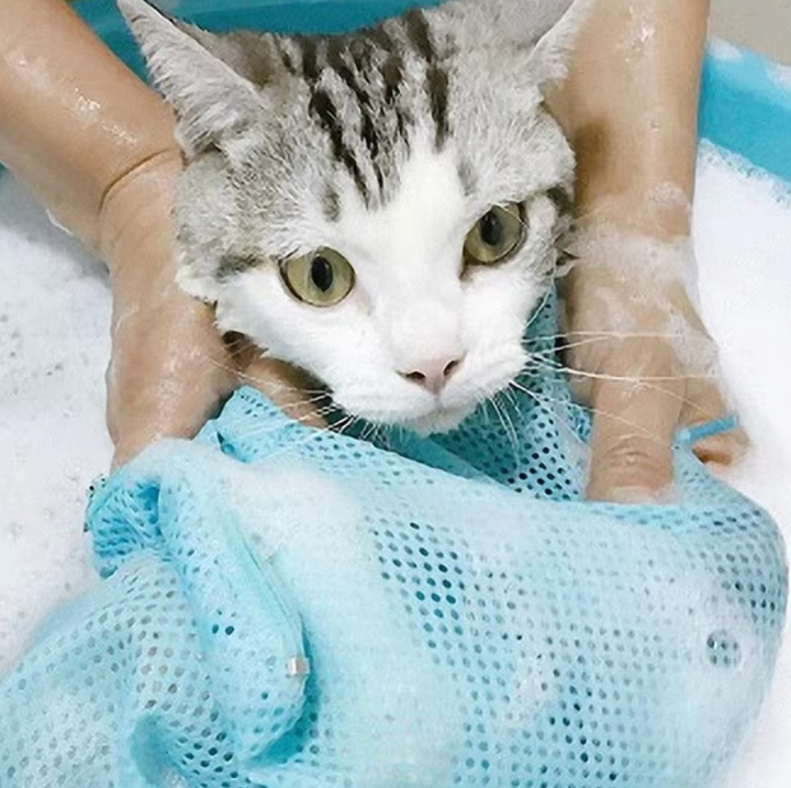 Multi-purpose cat care bag for grooming, bathing, nail clipping & vet visits. Durable mesh & secure zippers.