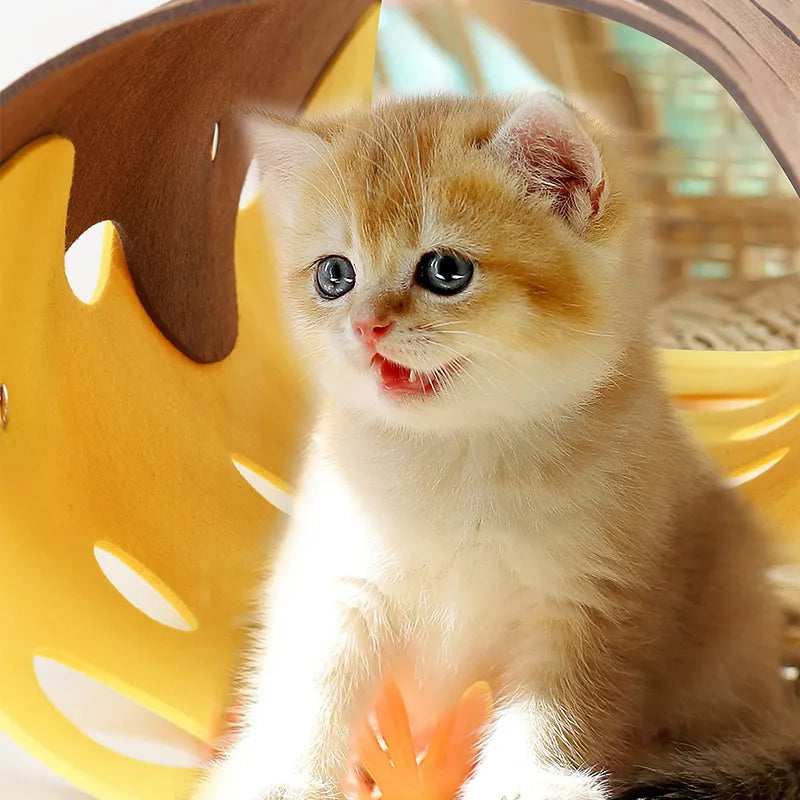 Cat's Adventure Play Tunnel with peek-a-boo holes, felt for interactive feline play & enrichment.