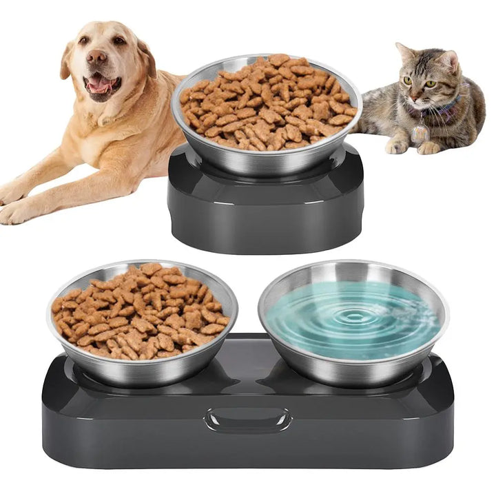 Cat's double stainless steel food & water bowl on a raised stand for ergonomic pet feeding.
