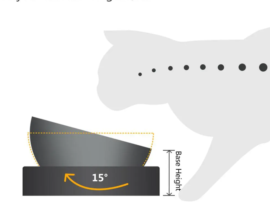 Premium double stainless steel cat bowl with raised stand, ideal for food and water, easy clean.
