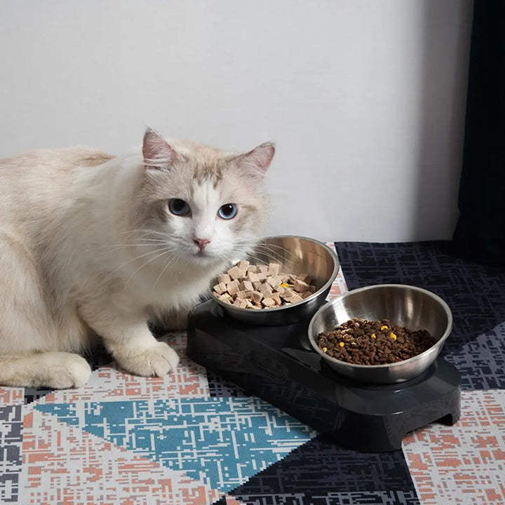 Hygienic stainless steel double cat bowl with elevated stand for food & water, no-spill design.