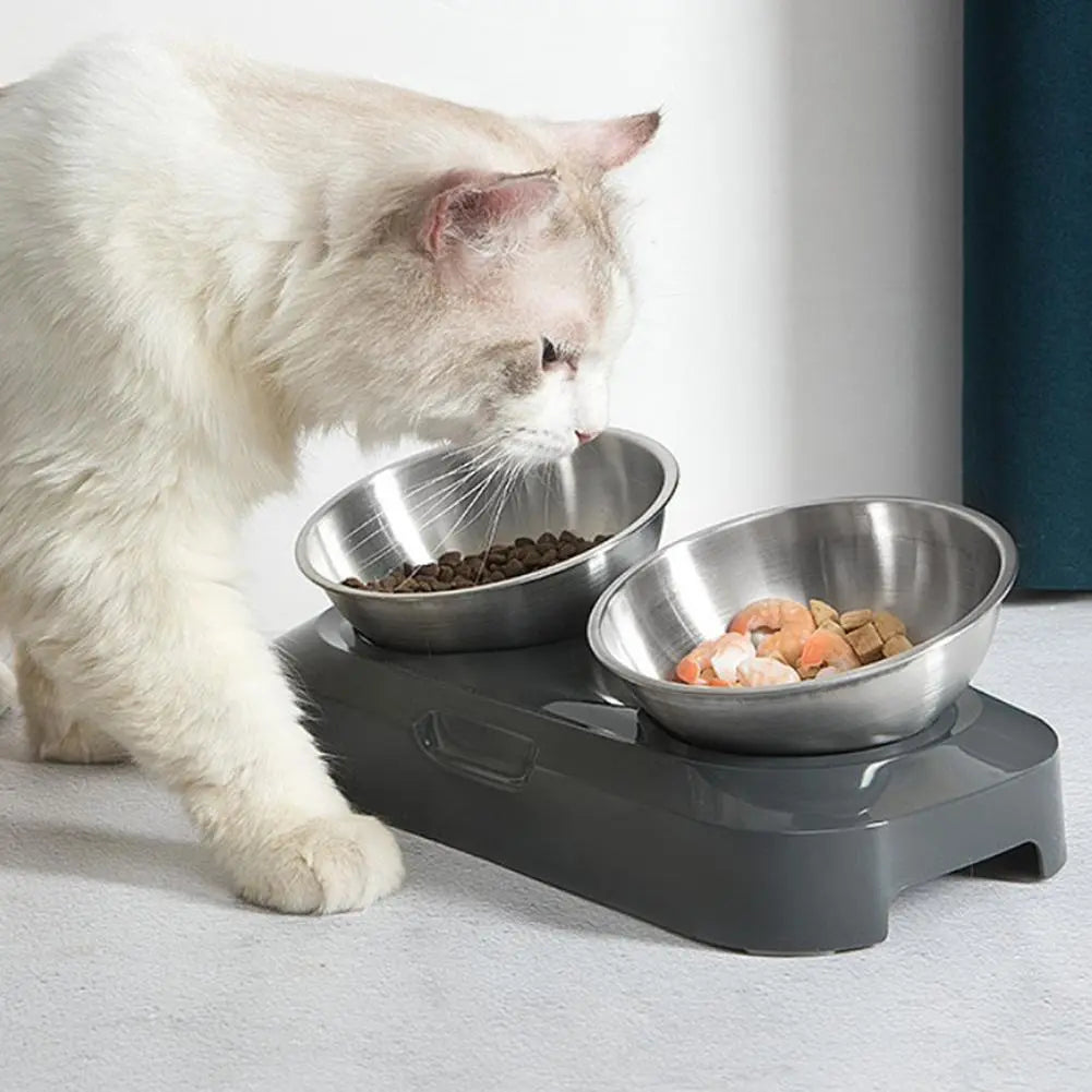 Ergonomic raised pet food & water station: double stainless steel bowls for cats, easy to clean.