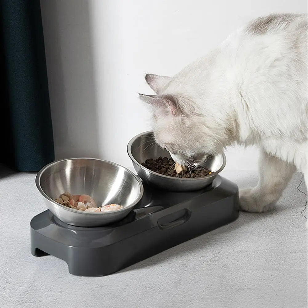 Stylish double stainless steel cat bowls with a raised stand, perfect for food and water.