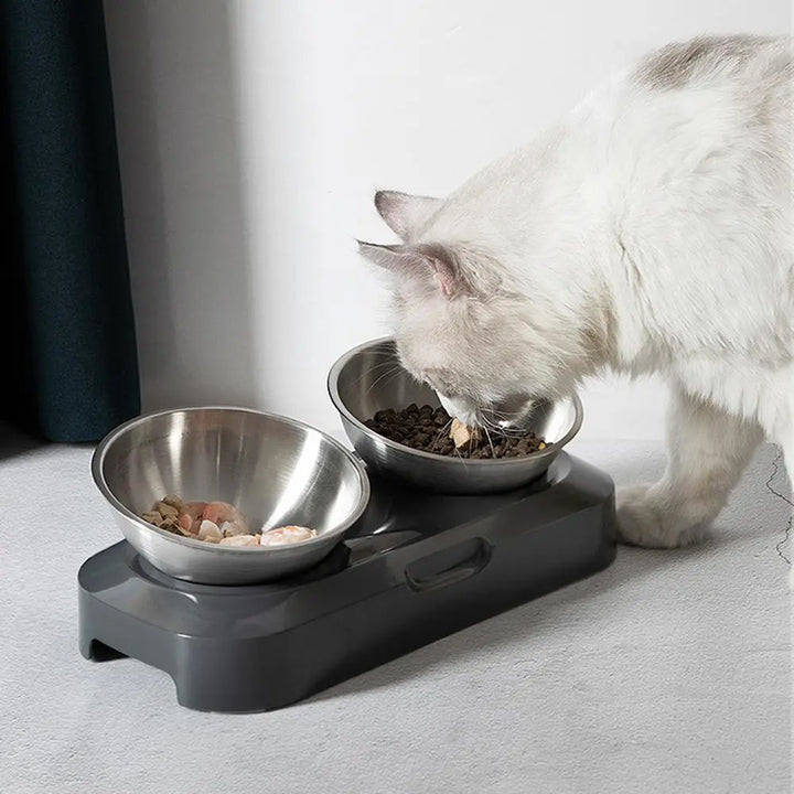 Stylish double stainless steel cat bowls with a raised stand, perfect for food and water.