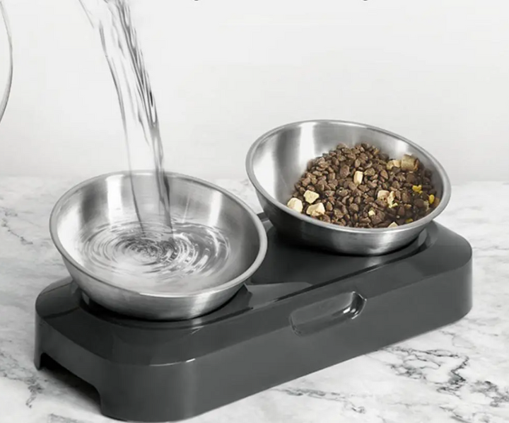 Pet supplies: Double stainless steel cat bowls for food & water on a raised, no-spill stand.