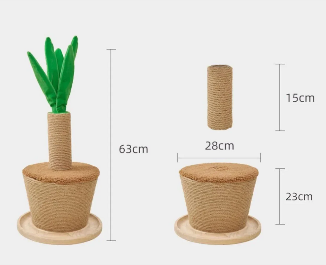 Cat's Green Oasis sisal scratching post, designed as a stylish plant, keeps claws healthy & adds decor.