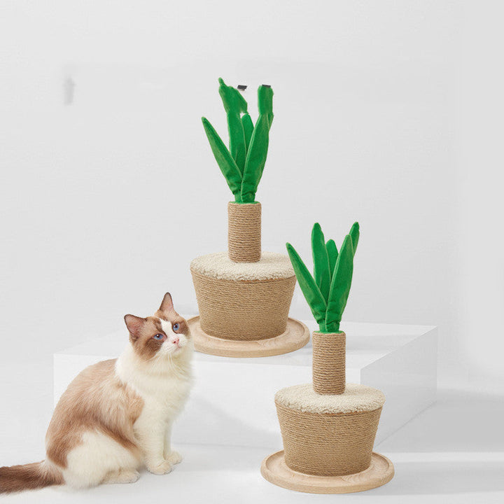 Stylish pet accessory: Cat's Green Oasis sisal scratching post. A functional cat toy & furniture for healthy claws.