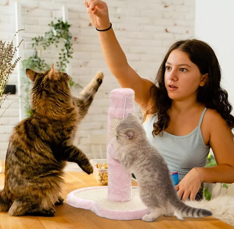 Cat scratching post with durable sisal rope, heart design base, and dangling play toys for kittens.