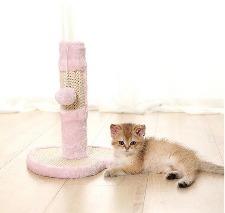 Kitten scratching post with soft star design base, sisal rope, and feather toys for playful exercise.