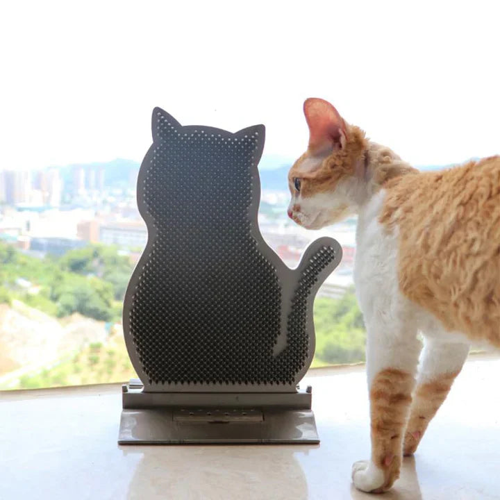 Feline self-groomer and massage board for cats. Soft bristles provide comfort & grooming, promoting a healthy coat.