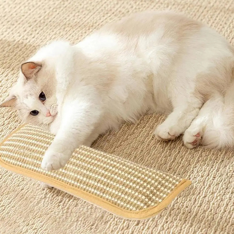 Catnip infused stress-relief scratching pillow & cat toy for feline fun and claw care.