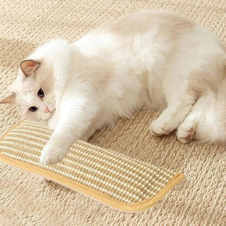 Catnip infused stress-relief scratching pillow & cat toy for feline fun and claw care.