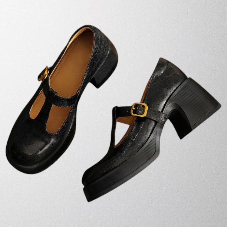 Brown leather women's Mary Jane block heels, versatile for everyday wear, comfort shoes