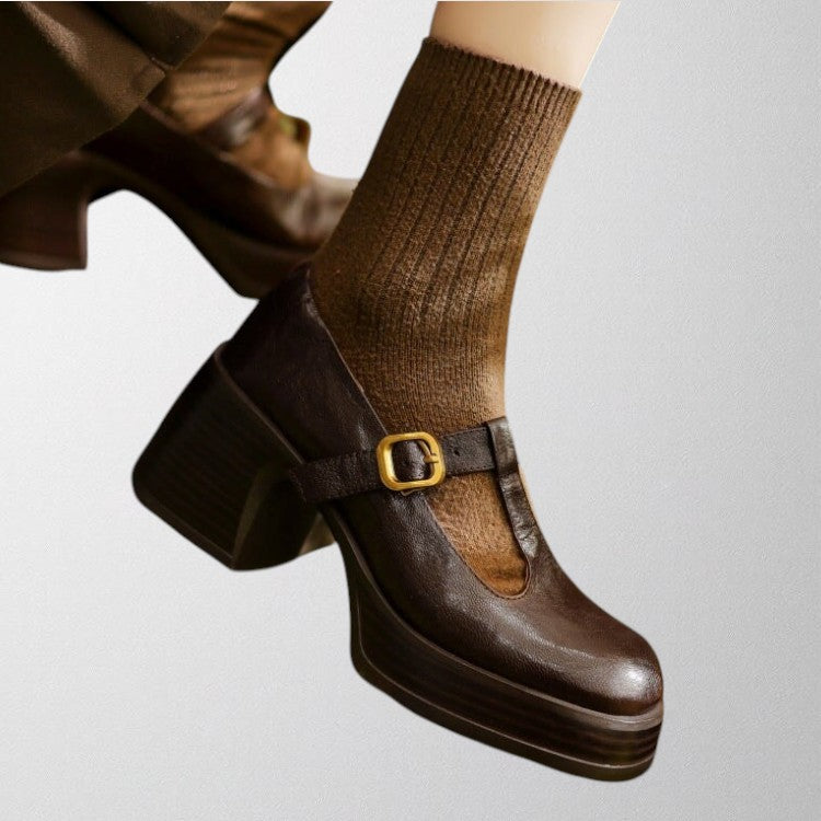 Timeless brown Mary Jane block heels, women's comfortable and versatile everyday shoes