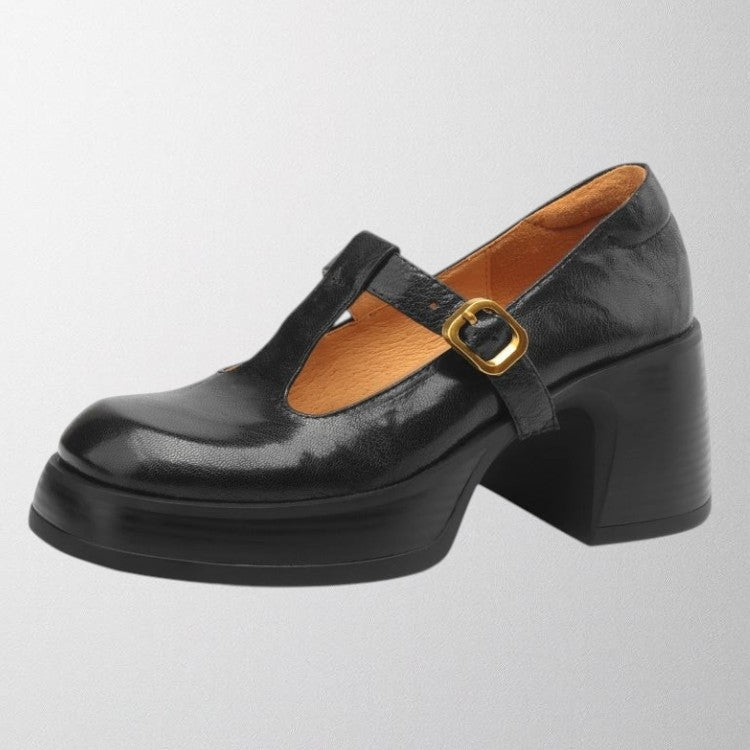 Side view of women's comfortable brown Mary Jane block heel shoes, vintage style footwear
