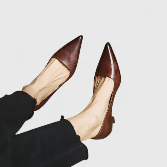 Pair of women's classic pointed toe low heel pumps in a professional setting