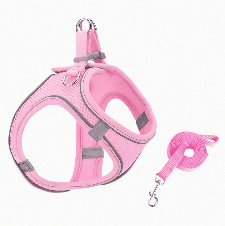 Adjustable cat walking harness, comfortable & secure for outdoor feline adventures and walk training.