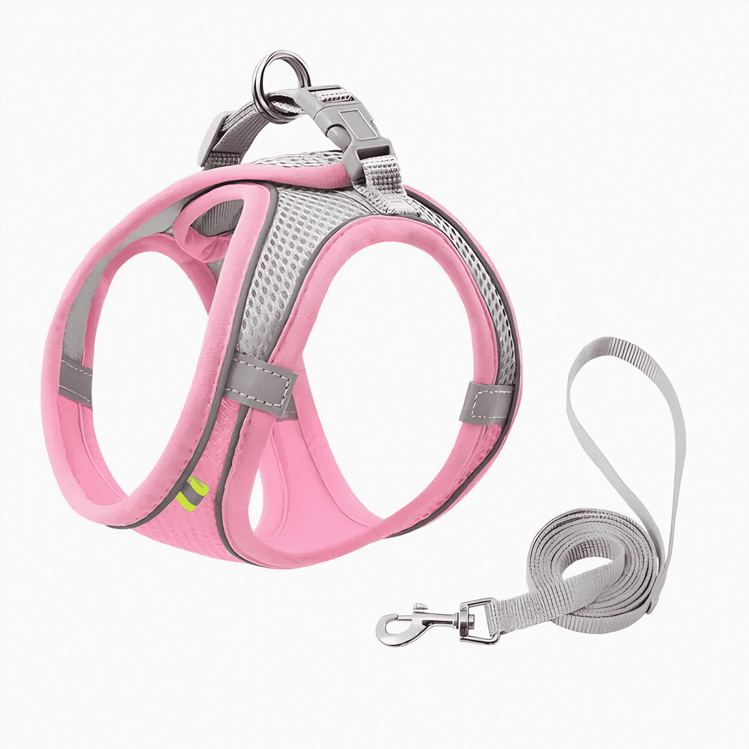Secure pet harness for cats, designed for comfortable outdoor exploration & safe walk training.