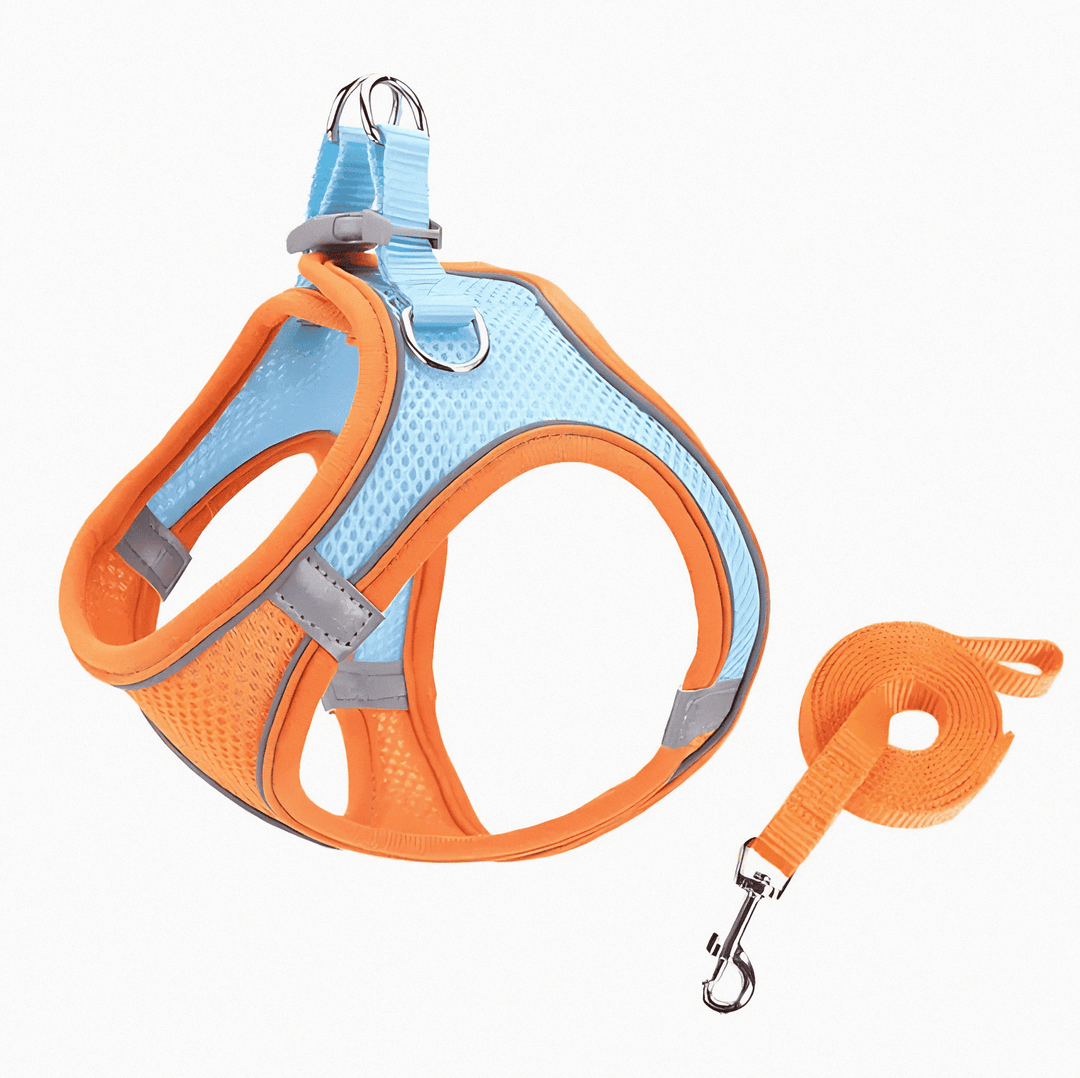 Durable feline gear: adjustable cat harness for safe outdoor adventures & comfortable pet walking.