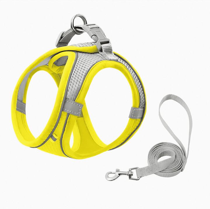 Comfort-fit pet harness for cats, ideal for outdoor exploration, secure & easy to adjust.