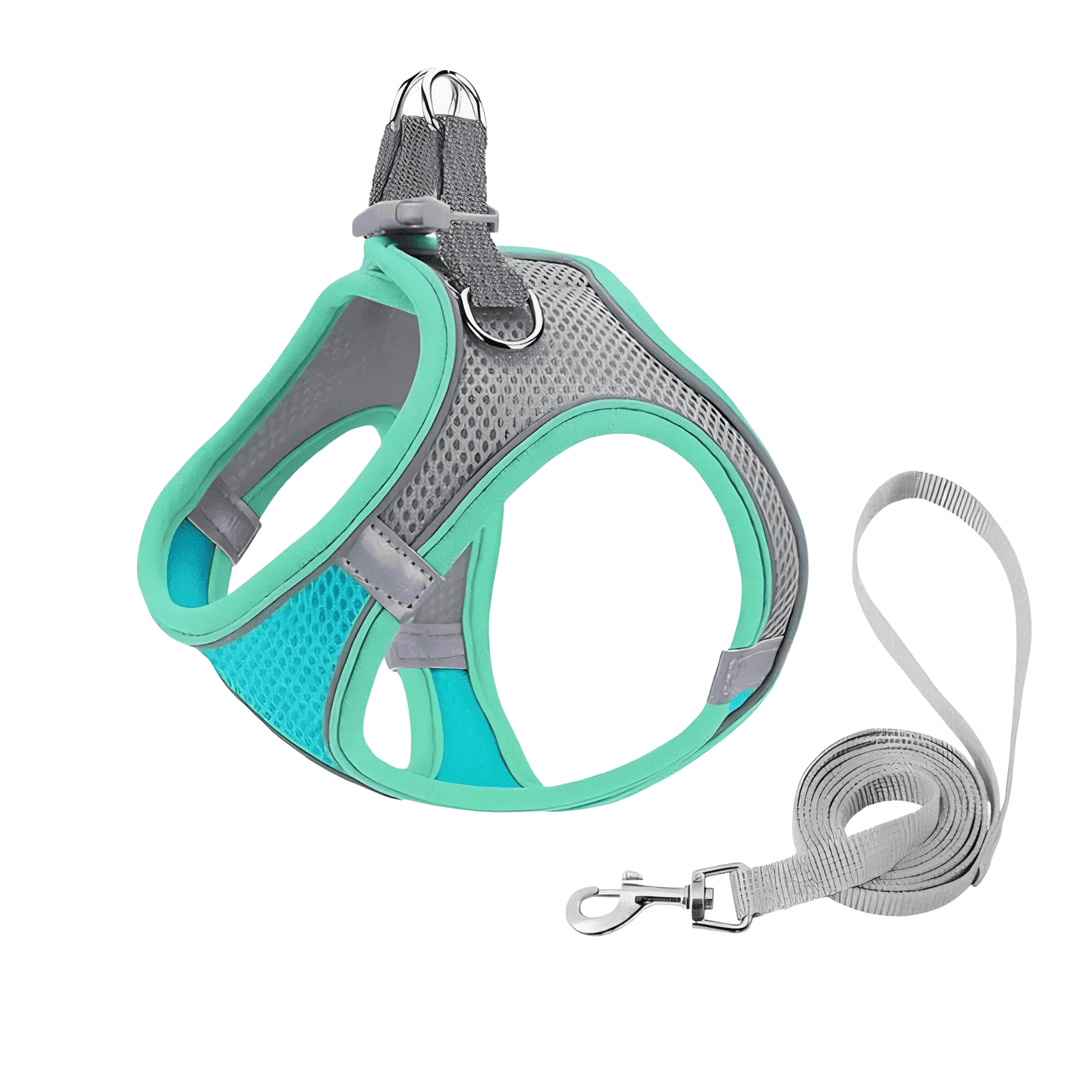 Cat harness for safe outdoor walks, adjustable design ensures comfort & security for your feline.