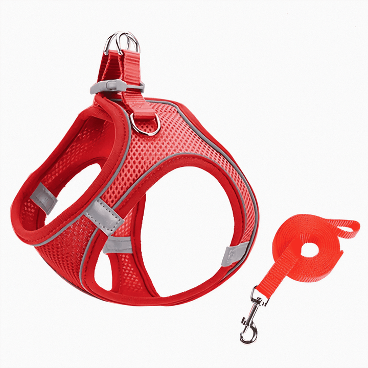 Premium cat walking harness, secure & adjustable for comfortable outdoor exploration & pet safety.