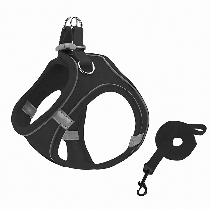 Feline outdoor gear: adjustable cat harness for safe exploration, comfort-fit for walk training.