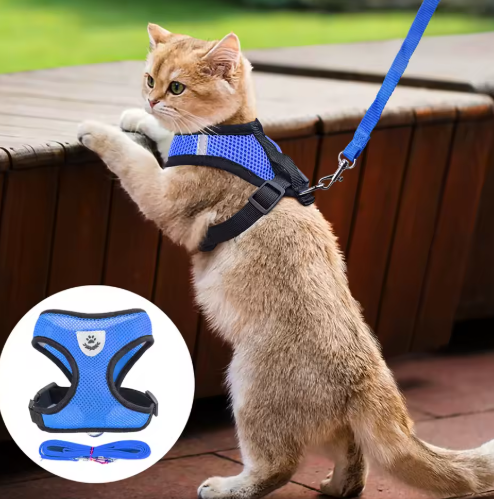 Comfort-Fit cat harness & leash set for safe outdoor walking. Adjustable, breathable, escape-proof feline vest.
