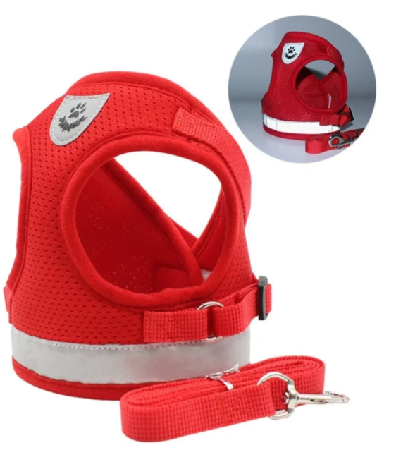 Escape-proof cat harness & leash. Comfort-Fit design for safe outdoor adventures with your feline friend.