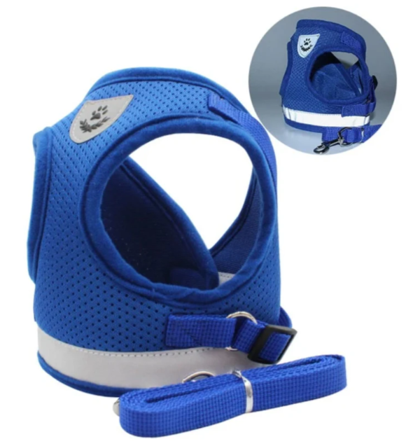 Breathable, adjustable cat harness & leash set, ideal for pet walking and outdoor cat safety.
