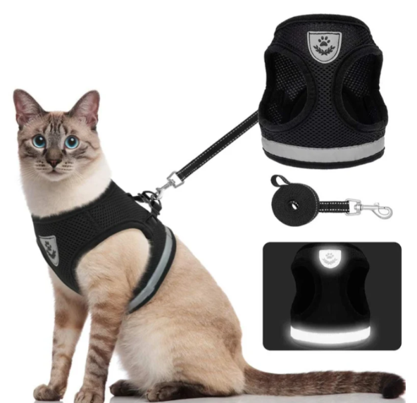 Safe cat walking with this Comfort-Fit, escape-proof feline harness & leash. Adjustable and breathable.