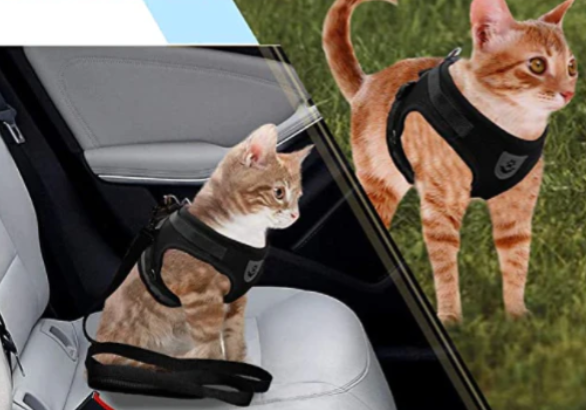 Pet supplies: Adjustable & breathable small animal harness & leash for comfortable, escape-proof cat walks.