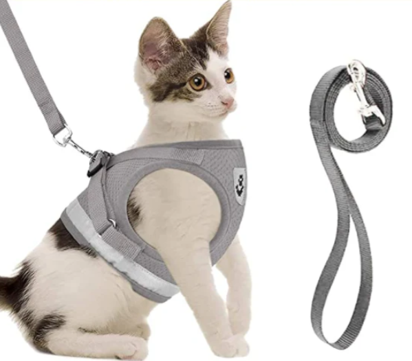 Durable cat harness and leash set. Adjustable, breathable, and escape-proof for outdoor pet adventures.