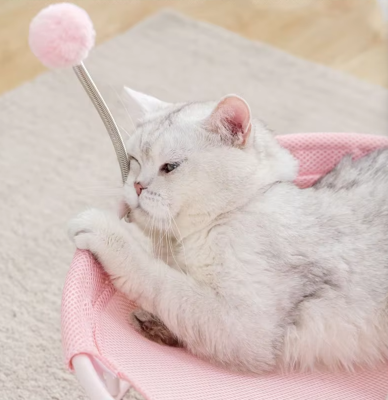Round cat bed & hammock with built-in play balls for interactive fun & comfortable, modern pet relaxation.