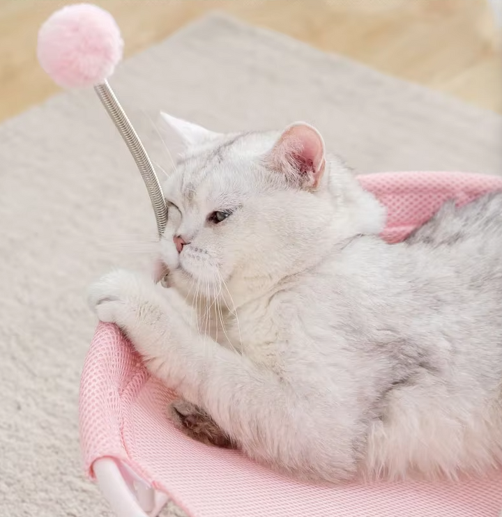 Round cat bed & hammock with built-in play balls for interactive fun & comfortable, modern pet relaxation.