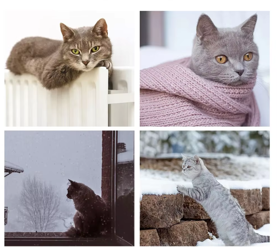 Modern pet furniture: a sturdy cat window hammock lounger with soft fabric, perfect for a cozy cat bed.
