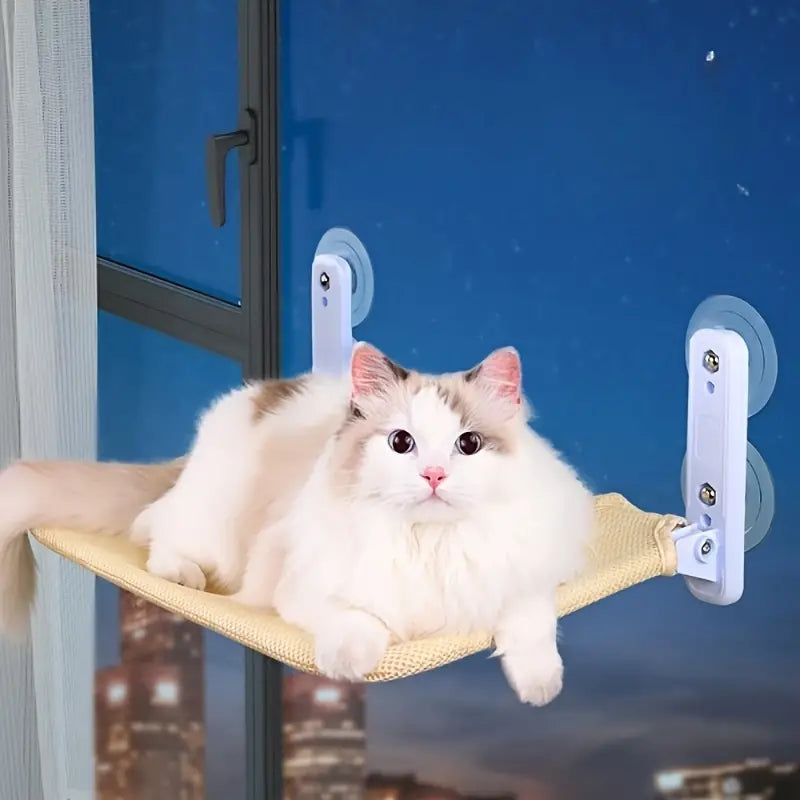 Comfortable cat window hammock bed, a soft sunbathing perch for felines to enjoy views and relax.