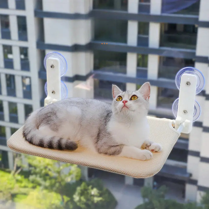 Cat enjoying a sunbath on a foldable window perch hammock, a perfect suction cup sun lounger for pets.