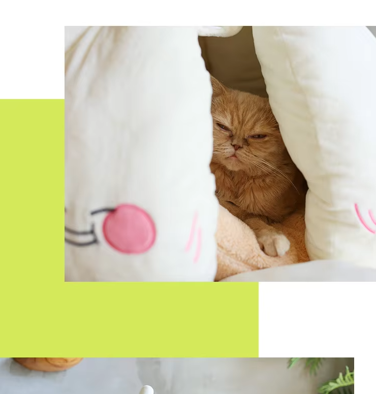 Plush garlic design pet cave bed, a cozy sanctuary for small dogs & cats. Comfortable & washable white bed.