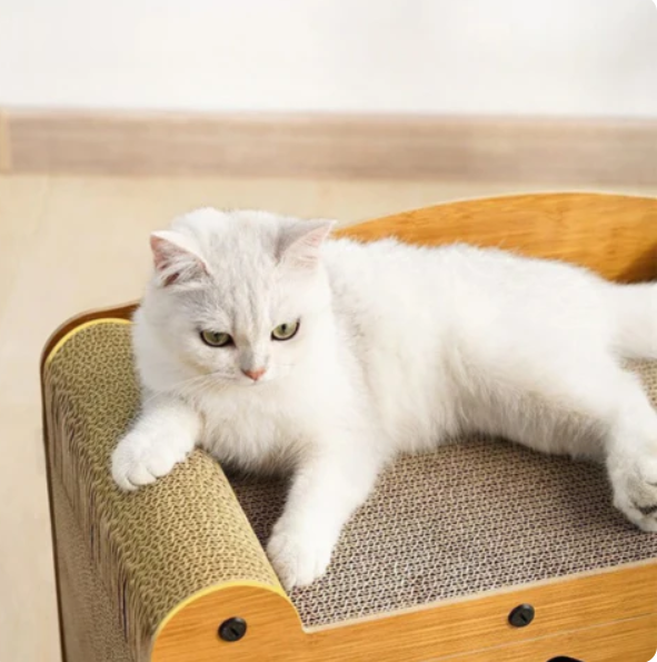 Plush, cozy cat bed inside a stylish feline retreat cat house, offering comfort and privacy.