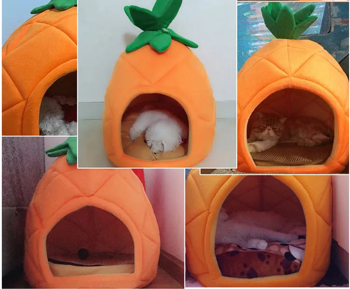 Fun pineapple cat house & pet cave for small dogs. Offers a private, cozy sleeping retreat & comfort.