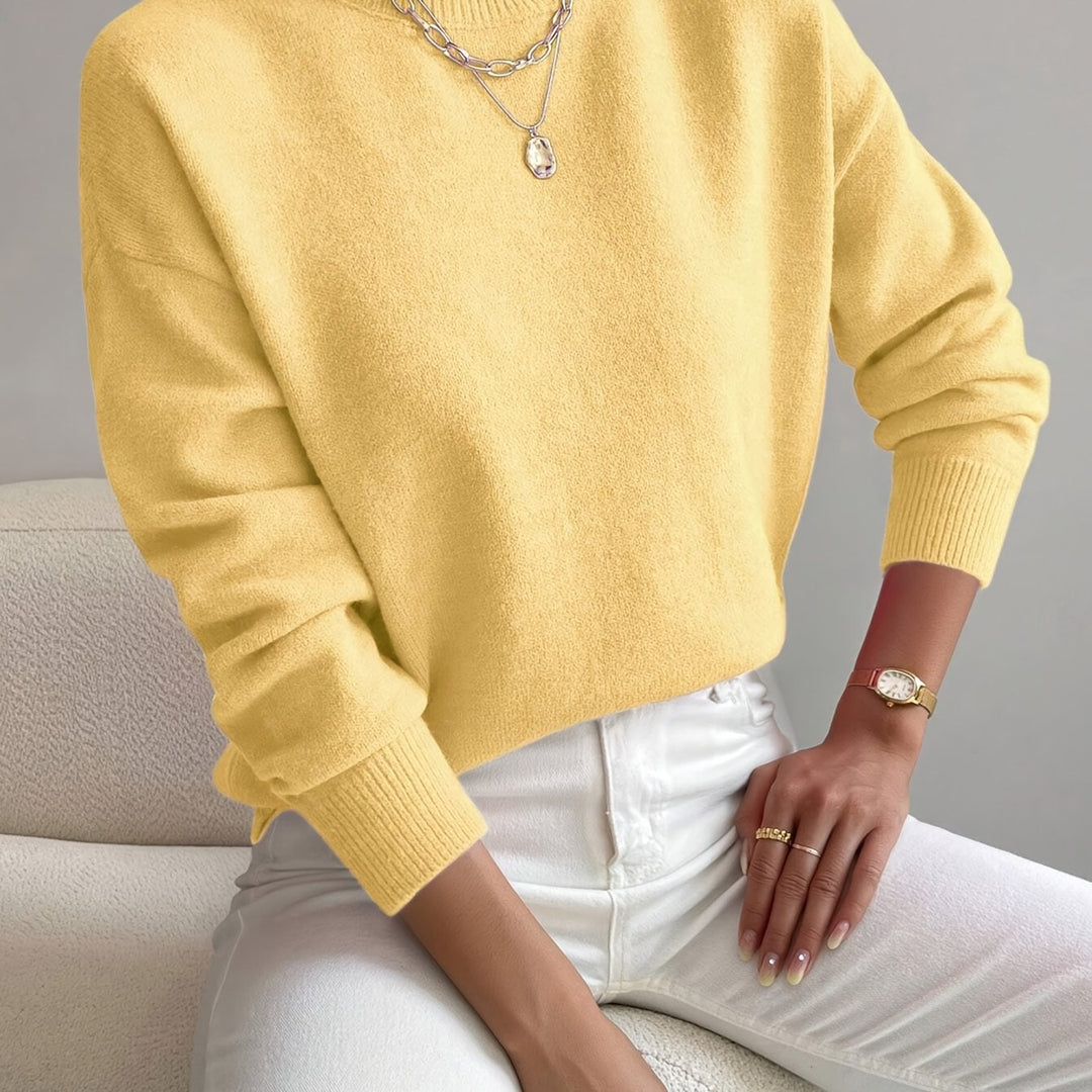 Fashionable women's high neck knit jumper, stylish long sleeve pullover for contemporary autumn style.