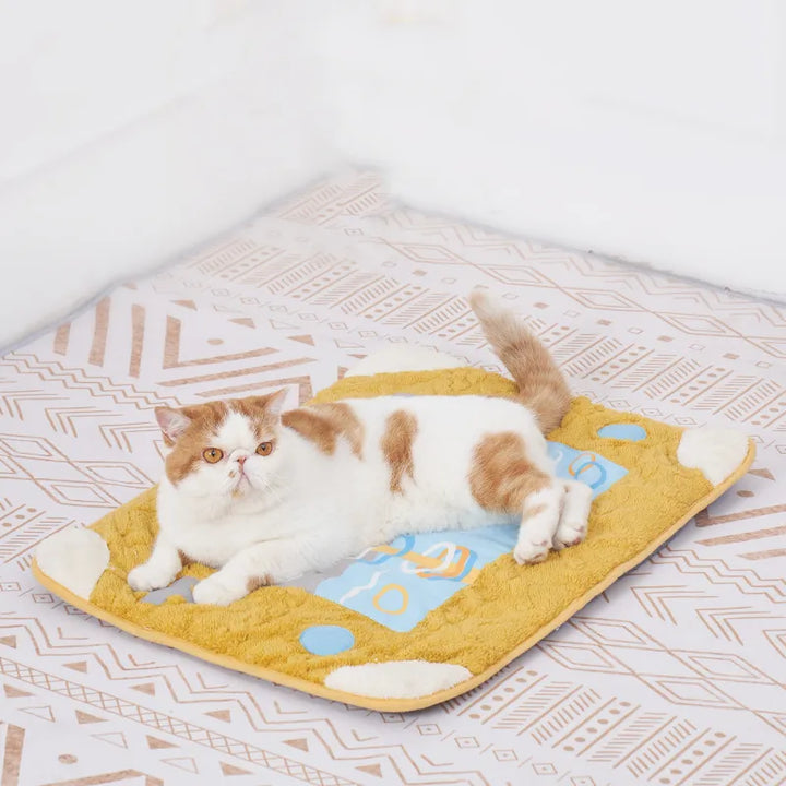Soft cat house style pet bed with an attached cat toy, offering a cozy retreat & playtime for your feline.